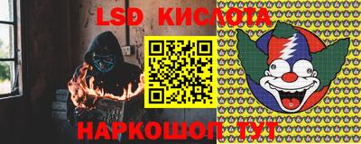 шишки Будённовск