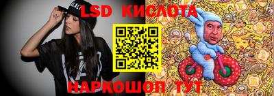шишки Будённовск