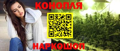 шишки Будённовск