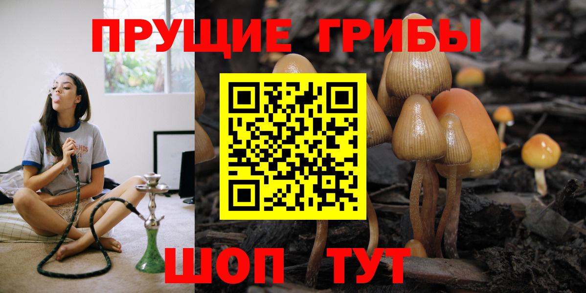 Петровск  сколько стоит  Вход с VPN  Галлюциногенные грибы мухоморы 